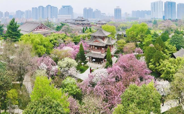 青龙寺遗址景区